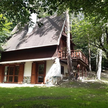 Rabyne Holiday Home Zajicovi מראה חיצוני תמונה