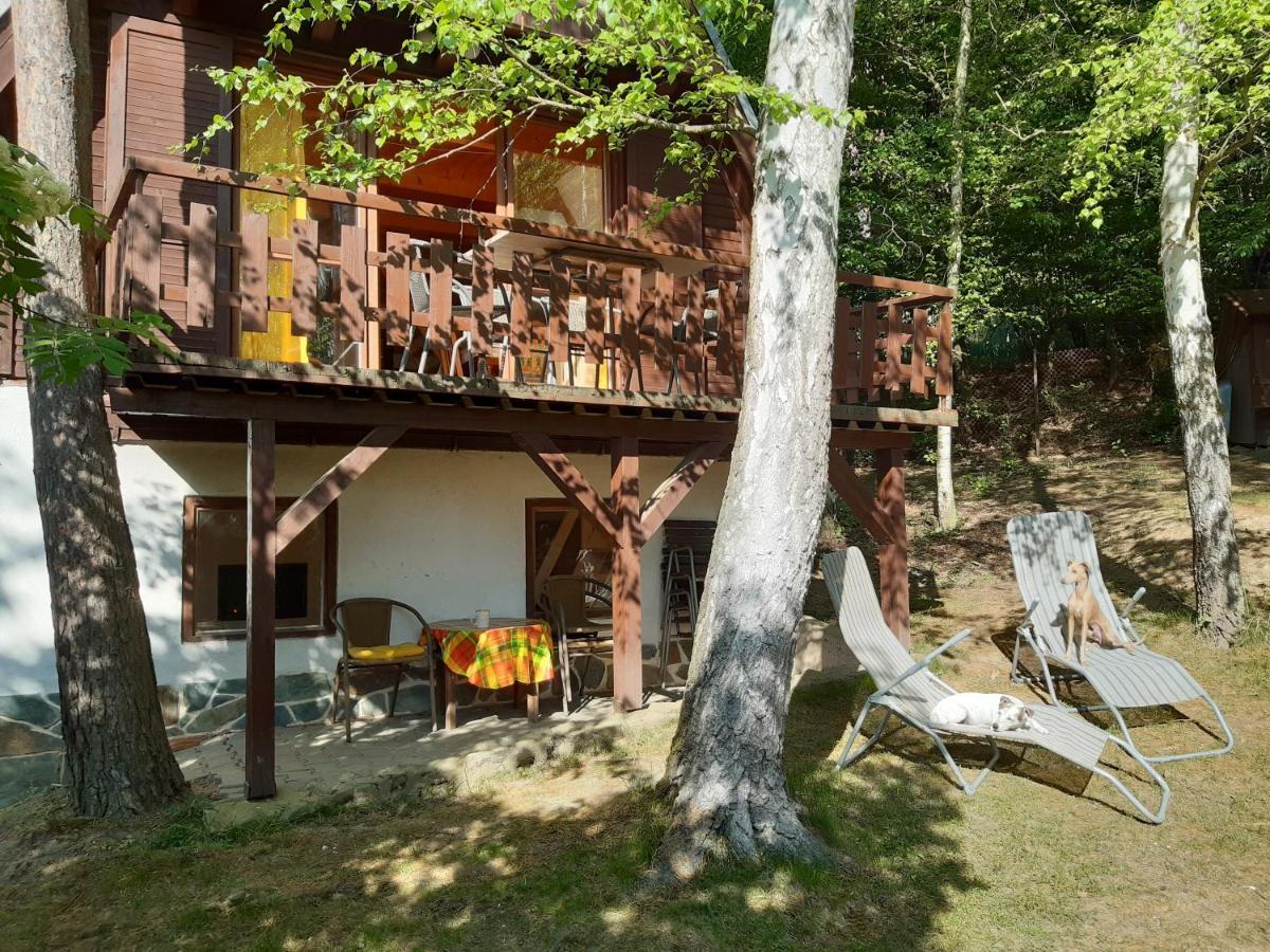 Rabyne Holiday Home Zajicovi מראה חיצוני תמונה